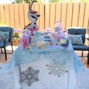 Frozen Mini Candy Station             